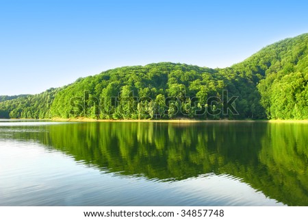 Beautiful mirror lake forest reflection