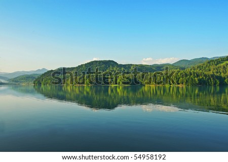 Summer forest lake with mirror reflection