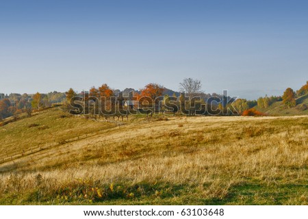 Autumn country life scenery