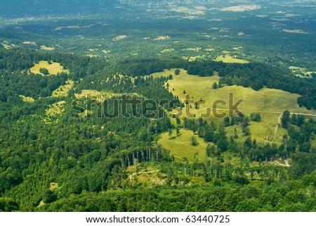 Forest mountian seen from above