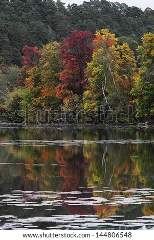 Autumn landscape. ?olorful trees by the river.