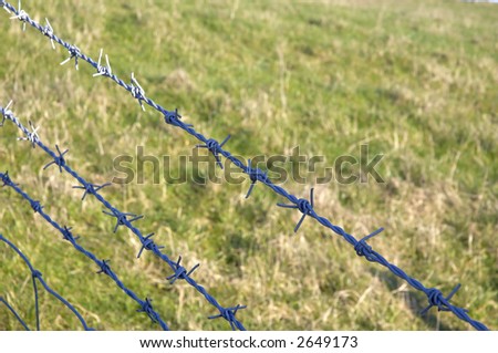 Barbed wire on a fence