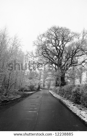 Black and white photo of a country lane in winter