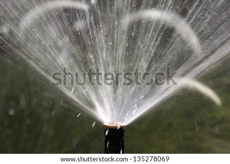 sprinkler head watering the flowers and grass