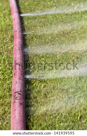 wasting water - water leaking from a hole in a hose