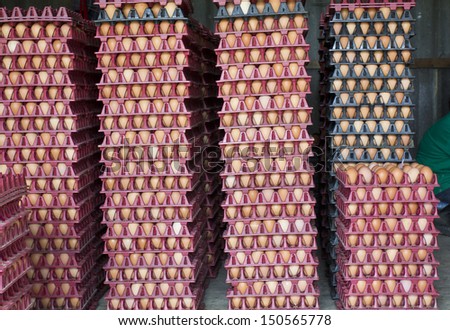 Stacks of brown eggs in trays at farm