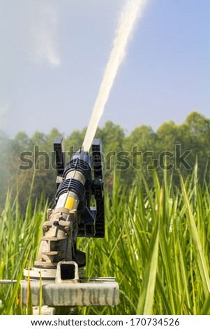 sprinkler head watering the grass in farm