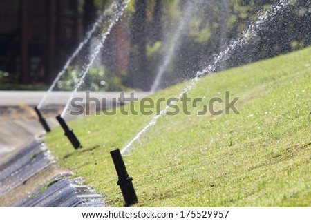 sprinkler head watering in park.