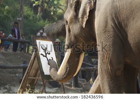 CHIANG MAI, THAILAND - March 13: 15th Annual National Thai Elephant Day , Elephant show painting on paper at maesa elephant camp , Mar 13, 2014 in Chiang Mai, Thailand.