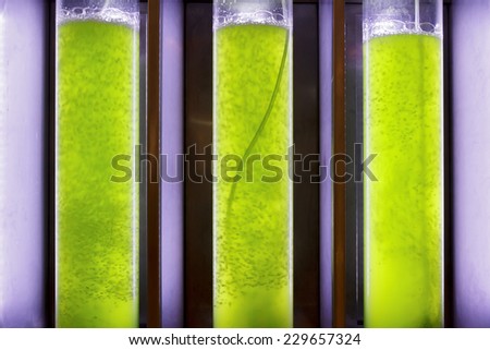 Photobioreactor in lab algae fuel biofuel industry Algae fuel or algal biofuel is an alternative to fossil fuel that uses algae as its source of natural deposits