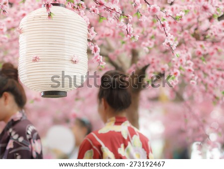 japanese lantern in sakura festival