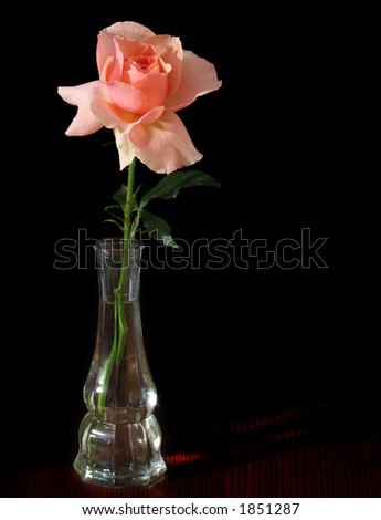 A solitary pink rose in an old glass vase against a deep black background. The vase is sitting on a rich wood grain surface.