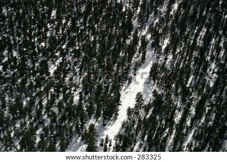 An aerial view of a snow covered forest in Grand Canyon National Park.