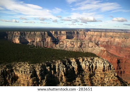 An aerial view, from onboard a flightseeing tour, of the Grand Canyon and forest covered plain.