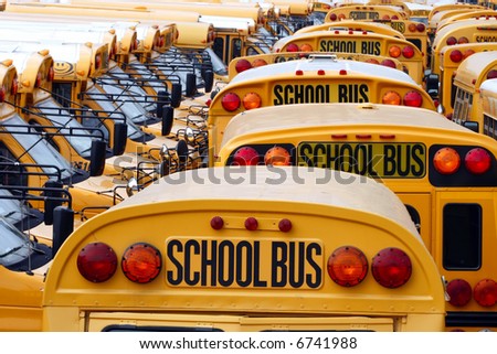 Yard full of parked yellow school buses.