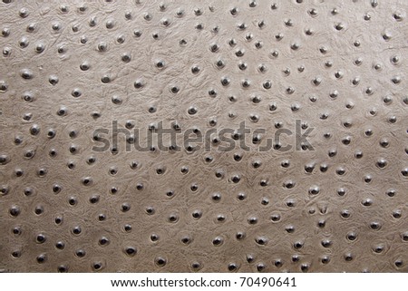 Ostrich Leather Texture