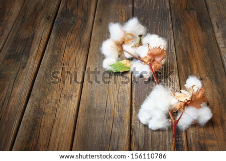 cotton flowers on wooden rustic table background