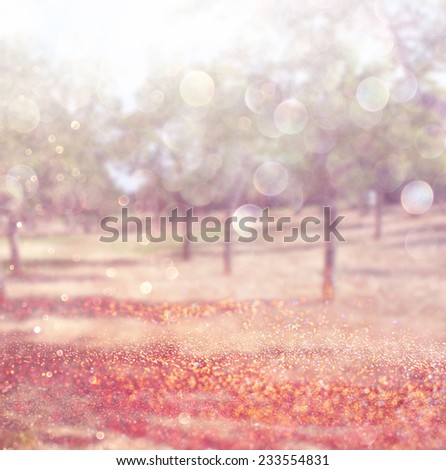 blurred abstract photo of light burst among trees and glitter bokeh lights. filtered image