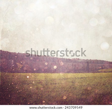 abstract blurred  photo of open field view with texture and glitter overlay