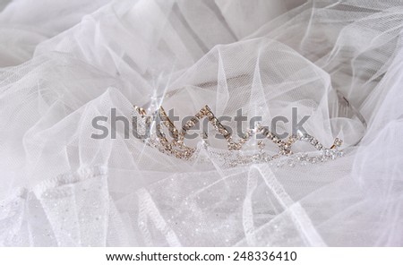 Wedding vintage crown of bride and veil. wedding concept