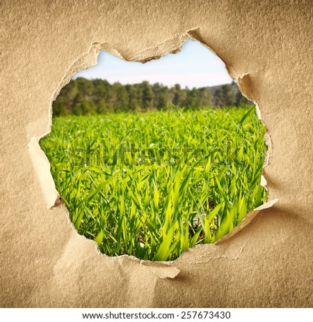 landscape of fresh grass in meadow through hole in paper