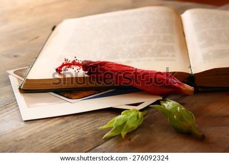 top view of vintage open book and dry red flower