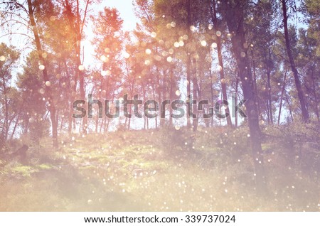 blurred abstract photo of light burst among trees and glitter bokeh lights. filtered image and textured.
