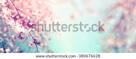 Abstract blurred website banner background of of spring white cherry blossoms tree. selective focus. vintage filtered with glitter overlay