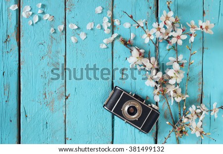 top view image of spring white cherry blossoms tree next to old camera on blue wooden table