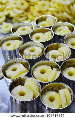 Fresh Pineapple slices in syrup in aluminum can - Tropical Fruits