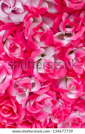 Beautiful pink color roses closeup background