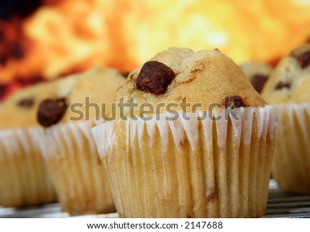 Golden chocolate chip fairy cake muffins in the kitchen, macro, close up