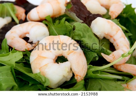 healthy seafood tiger king prawns on green lettuce background, macro, closeup