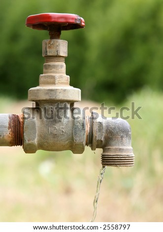old garden tap in a green garden in summer, macro close up with copy space