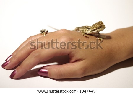 baby bearded dragon on woman\'s hand