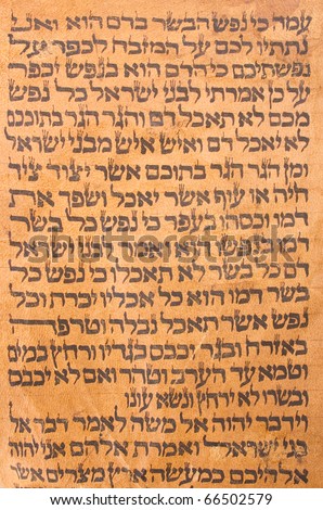 The ancient Jewish scrolls of the Torah fragment. Piece of text may be used as background.
