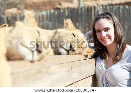 Young pretty brunette woman wearing grey and blue clothes standing by two beautiful sleeping wild lion cub stroking fur and smiling outside in nature park