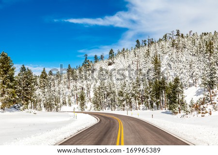 winter road in snowy forest on a sunny day