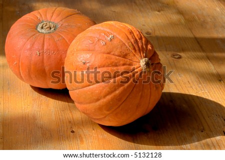 Golden nugget pumpkins on a kitchen table
