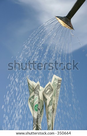 Watering Dollar notes, new growth shooting upwards, nurturing new growth,
