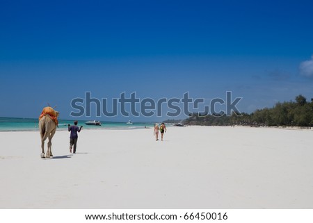 Tropical white sand beach with camel and holiday makers.  Diani beach , kenya