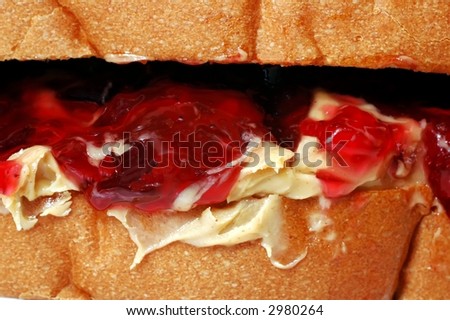 Peanut Butter and Jelly Sandwich - Closeup