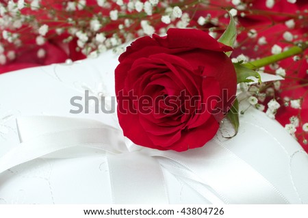 Red rose with baby\'s breath on white ring bearer\'s pillow