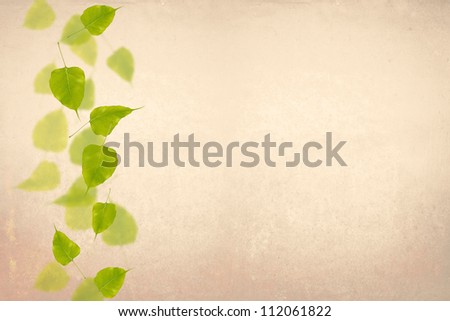 Fallen leaves on aged paper background