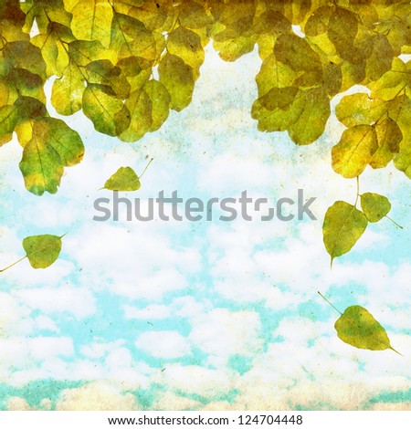 Artistic background, treetop with fallen leaves and clouds on paper texture