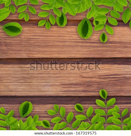 Wood background with creeper plant
