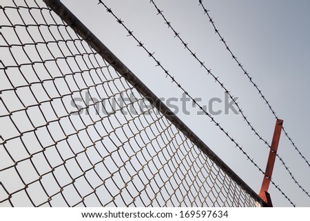 Metal mesh fence and barbed wire