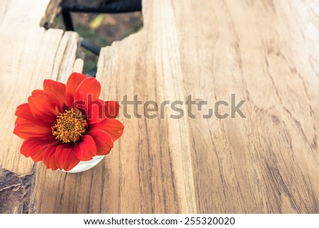 Small red flower vase decorated on wood table