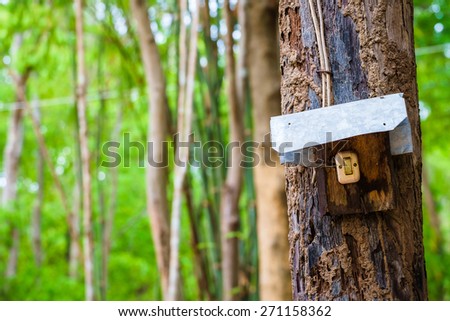Electric switch on tree trunk in the forest, covered by galvanized iron for rain protection