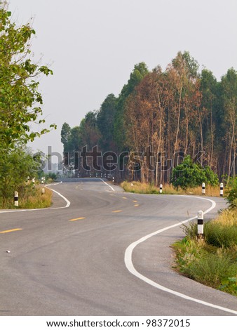 Sharp curve road with Eucalyptus wood, Thailand
